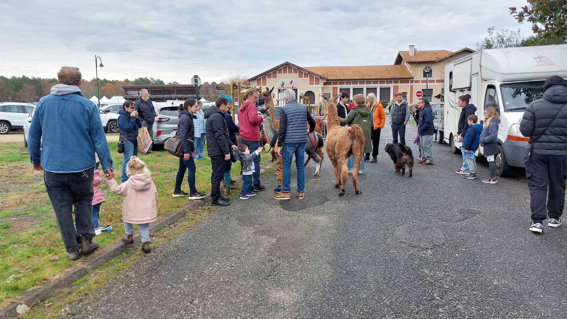 marché de Noël retour en images 1.jpg