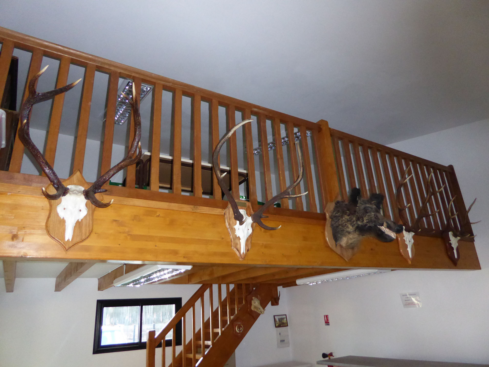 ACCA-Association-Communale-de-Chasse-Agreee-web.jpg